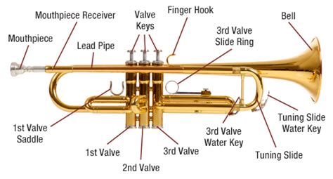 How to Play Trumpet: Basic Instruction For Beginner - Fire Inside Music