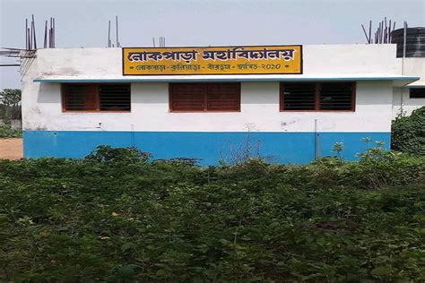Lokepara Mahavidyalaya