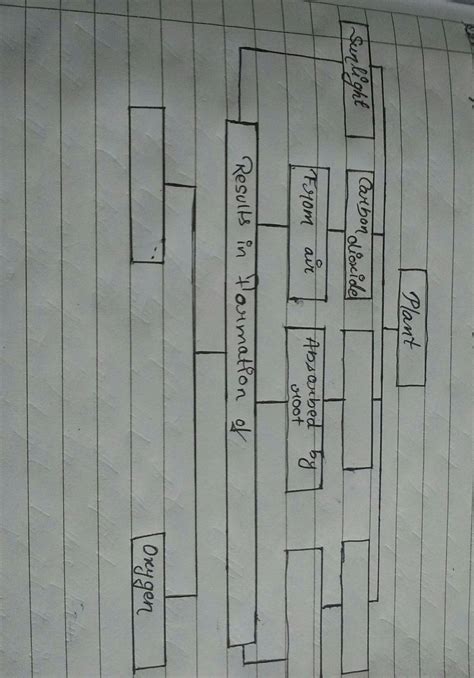 Completethe webchart. - Brainly.in