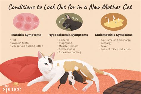 Are Cats And Dogs Born With Umbilical Cords