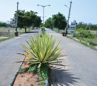 Real Estate Builders and Developers in Jigani | Chandrakantha Developers