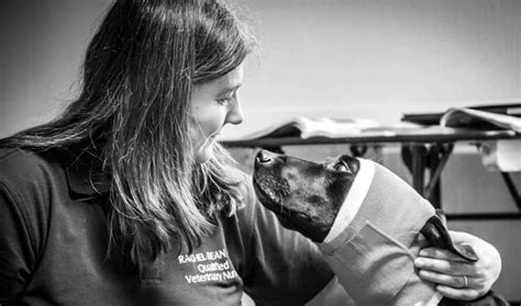 Canine First Aid - Rachel Bean RVN, Greenfield Dog Training Centre ...