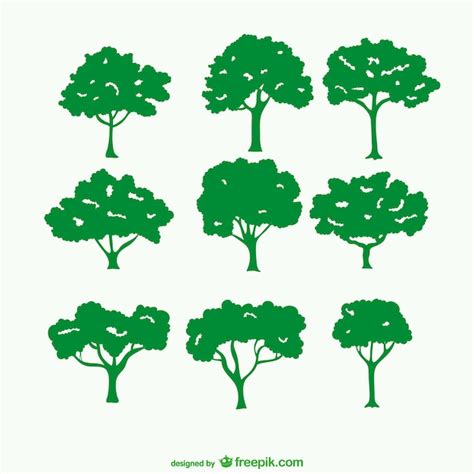 Tree Vector 的图像结果