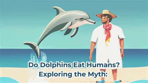 Do Orcas Eat Dolphins? The Ultimate Predatory Reality | DolphinXpert.com