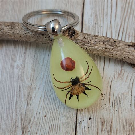 Bug Keychains 的图像结果