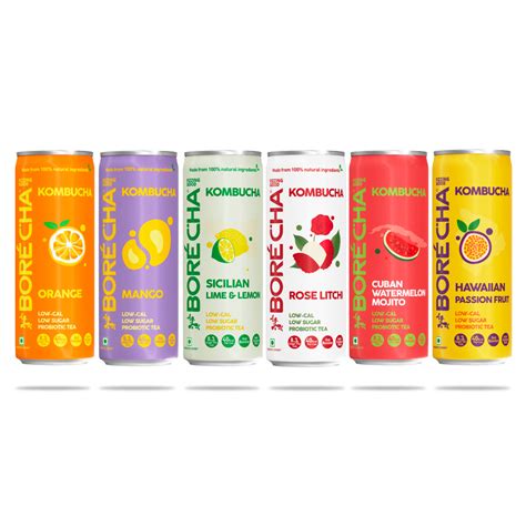 Buy Low Sugar Kombucha Online in India – Borécha