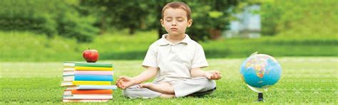 Midbrain Activation Franchise | Best Mid Brain Course Training India