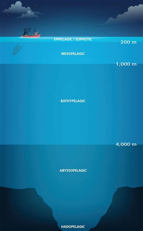 Ocean Zones Diagram