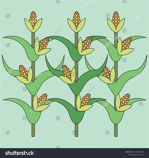 Corn Field Vector 的图像结果