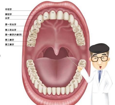 合肥儿童齿科哪家好—孩子在换牙期出现牙齿不齐需要矫正吗？ - 知乎
