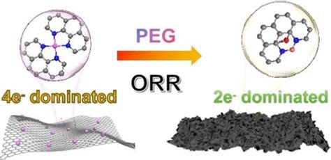 H2O2 Catalyst 的图像结果