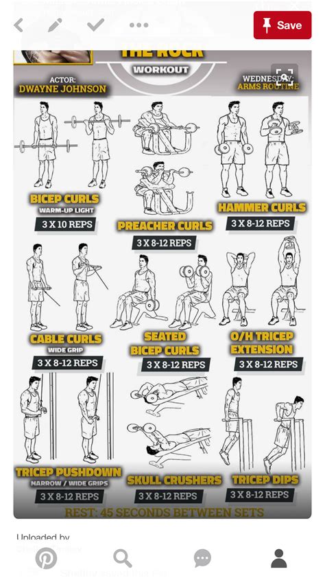 Triceps And Biceps Workout