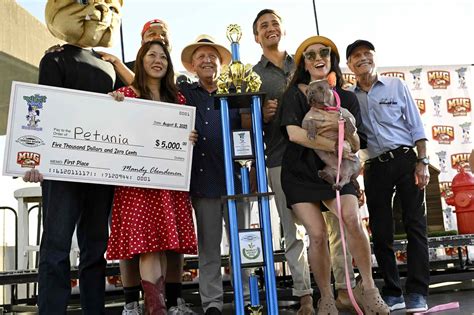 2025 World's Ugliest Dog Contest Winner Is Bulldog Named Petunia