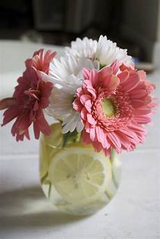 Wedding Budget Flowers by Cheap Wedding Flowers Top Tips For A On A Budget Wedding Budget Flowers