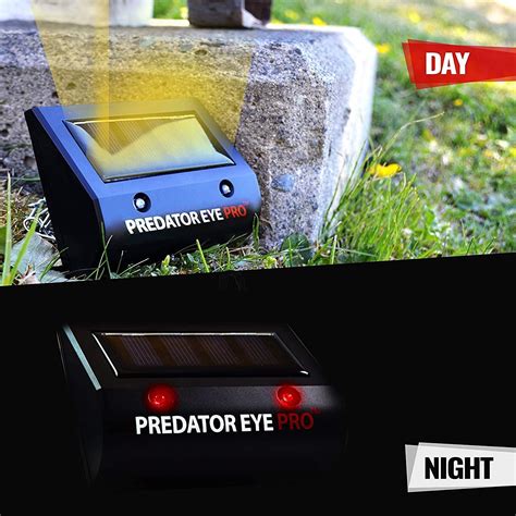 Buy Aspectek - 4600sq ft Coverage -Predator Eye PRO - Kick Stand Solar ...
