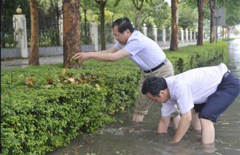 南华县水务局深入开展清河行动-南华县人民政府