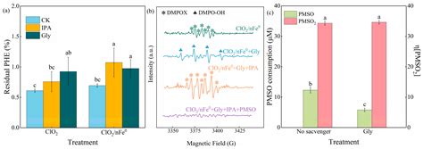 Activation of ClO2 by Nanoscale Zero-Valent Iron for Efficient Soil ...