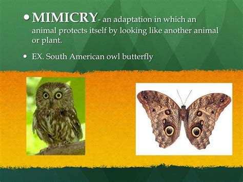 Image result for Applications of Greedy Algorithm