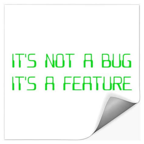 Coding Bug 的图像结果