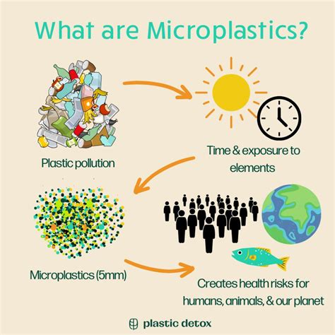 A Beginner's Guide to Microplastics: What Are They and Why Are They a ...