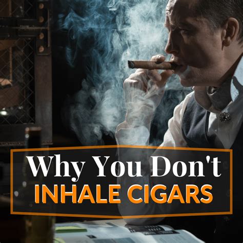 Beginner's Guide to Cigars 101: Explore Blends and Master Cigar World