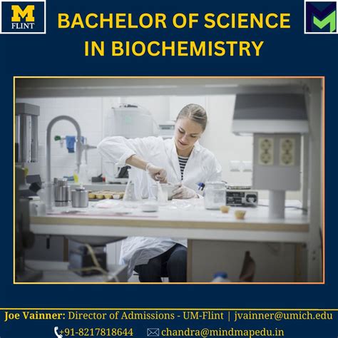 Biochemistry MindMap 的图像结果