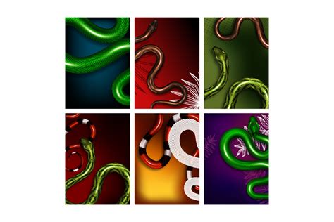 Image result for Python Snake Event Banner