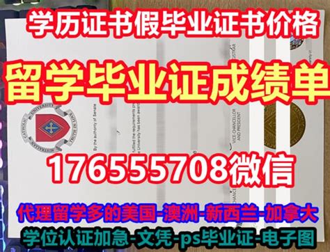云南省自学考试毕业证网上申报指南（考生）