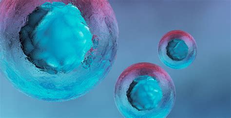 Schedule Your Healthcare Digital Transformation Consultation with ELEKS ...