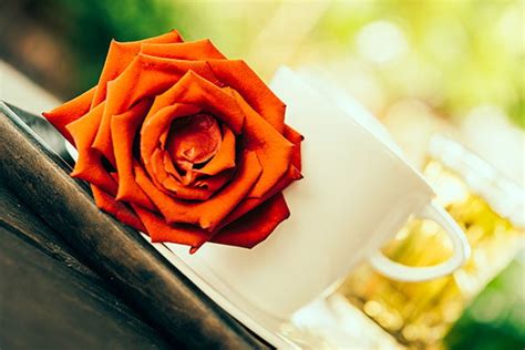 Sonnenburg Family Funeral Home Tomah, Wisconsin