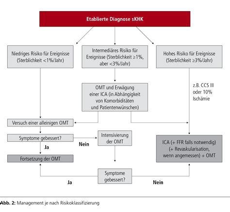 Diagnostik und medikamentöse Therapie der KHK - Kardiologie ...