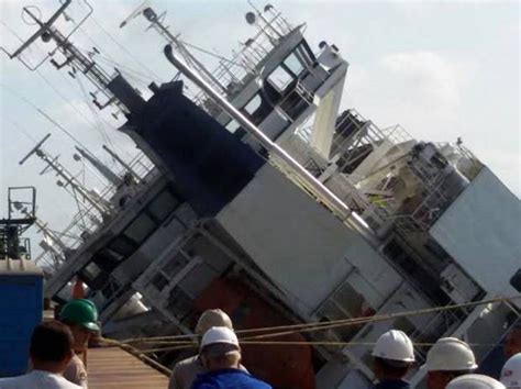 Livestock carrier capsizes in Brazilian port leaving cattle stranded ...