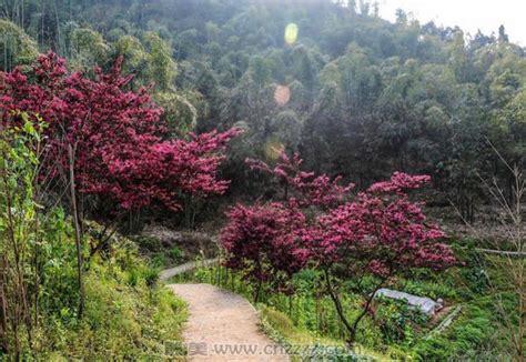 大长山岛桃源山庄,最美世外桃源