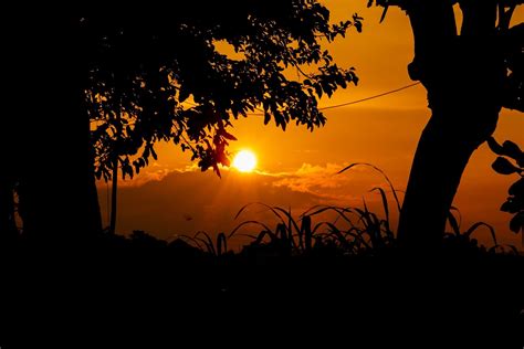 Obituaries | Belton Journal | Belton & Temple, TX