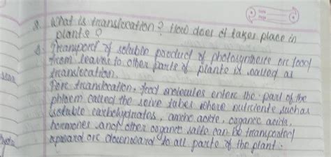 what is translocation. how does it take place in plants - Brainly.in