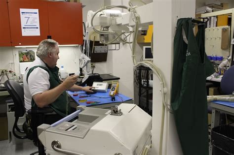 Biomedical Engineering Technology Development 的图像结果