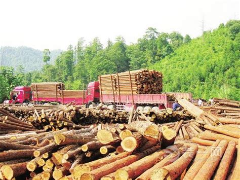 家居产业洗牌仍将继续 中国进口木材市场前景分析 - 建材行业 - 装一网