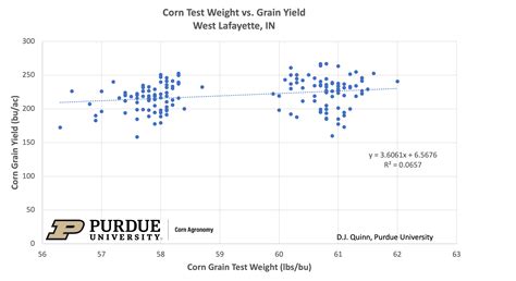 Making Sense of Grain Test Weight in Corn - The Kernel