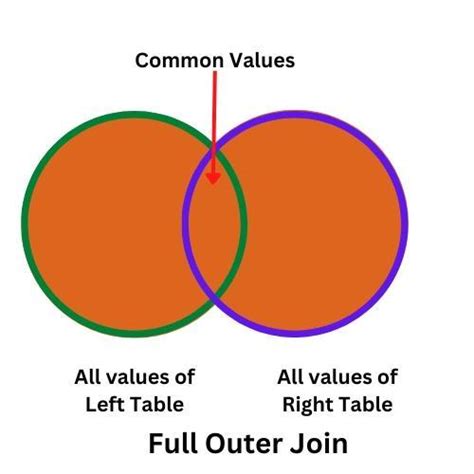 Outer Join Tutorial 的图像结果