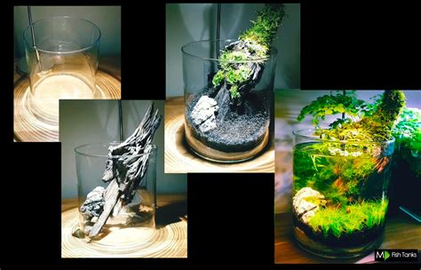 1 Gallon Aquarium. Modern Day Walstad : r/PlantedTank