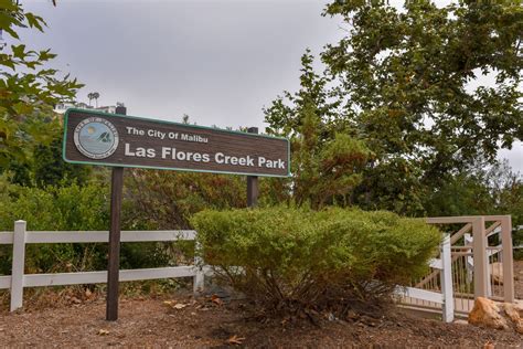 Parks and Rec panel hopes to reopen Las Flores Creek dog park proposal ...