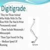 what is digitigrade locomotion-----? - Brainly.in