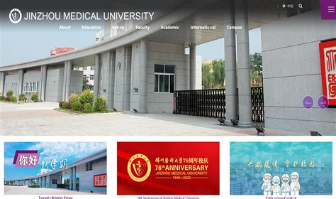 医学学位论文的撰写（重庆医科大学） - 哔哩哔哩