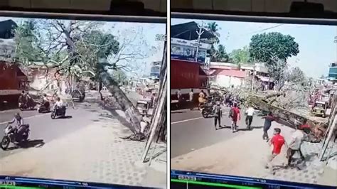 Watch: Kerala Motorists Get Trapped After Tree Falls on Busy Road in ...