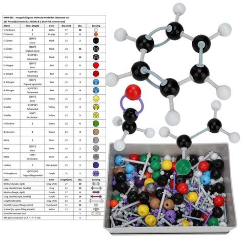 Buy Organic Structure Molecular Structure Model Molecular Model ...