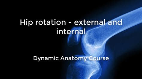 Hips - part 2 — Dynamic Anatomy Courses