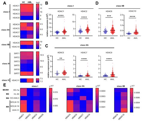 The Class IIA Histone Deacetylase (HDAC) Inhibitor TMP269 Downregulates ...