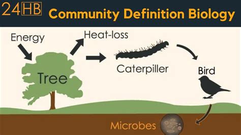 Ecology Examples 的图像结果