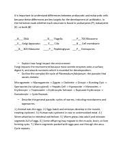 Image result for Course Prokaryotes