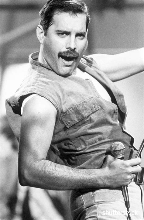 フレディマーキュリー に対する画像結果